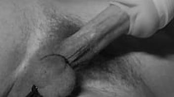 Throbbing Creampie Closeup of a Large Cock