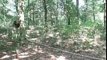 A young girl is loved by an old guy in the woods.