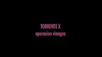 Operation Vinagra, or Torrente X