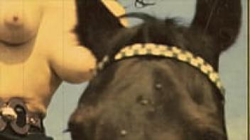 Older Women With Pets