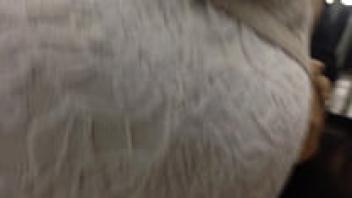 The lovely babe's third upskirt