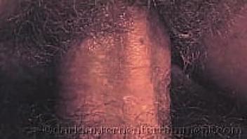 The full-length film My Secret Life: The Erotic Confessions of a Victorian English Gentleman is presented by Dark Lantern Entertainment.