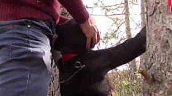 Milf compilation bondage hood facelove preview